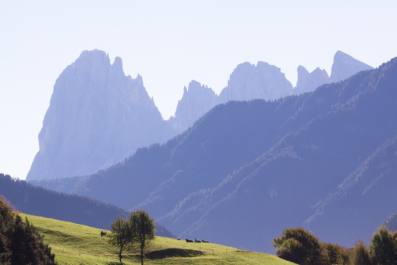 Dolomitai, Italy, South Tyrol, Kraštovaizdis, Sassolungo, Kalnas, Alpių, Rokas, Alm, Pieva
