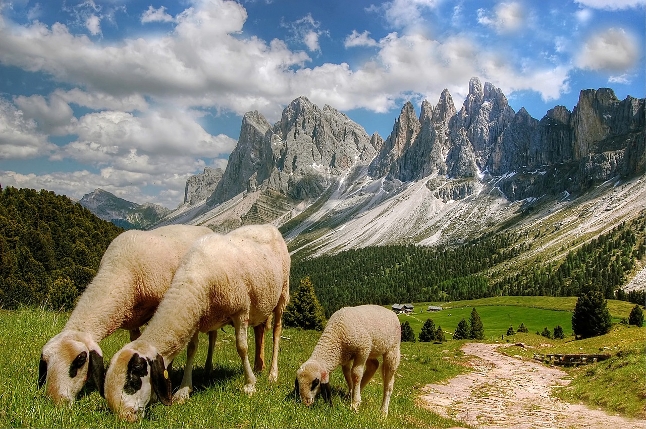 Dolomitai, Kalnai, South Tyrol, Alpių, Italy, Žygiai, Unesco Pasaulio Paveldas, Alpių Panorama, Gamta, Villnösstal