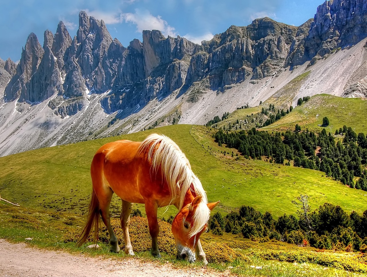 Dolomitai, Kalnai, South Tyrol, Italy, Alpių, Vaizdas, Val Gardena, Alpių Panorama, Griovių Laukas, Unesco Pasaulio Paveldas