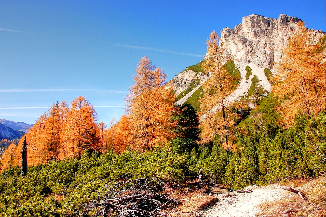 Dolomitai, Kalnai, Italy, Alpių, Vaizdas, Gamta, Kraštovaizdis, Rokas, Alpių Panorama, Belluno