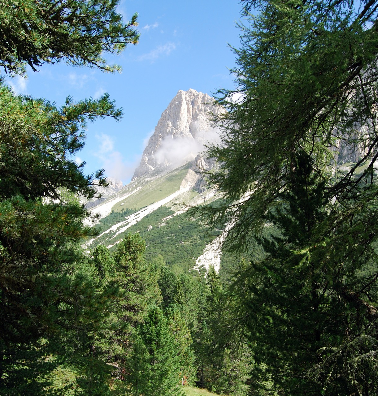 Dolomitai, Medžiai, Kalnai, Filialas, Nemokamos Nuotraukos,  Nemokama Licenzija