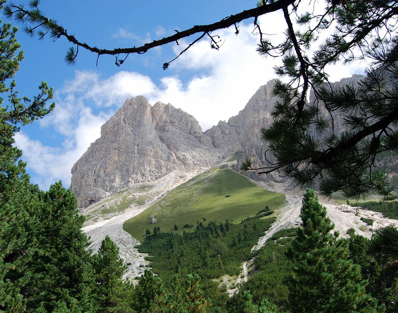 Dolomitai, Medžiai, Kalnai, Filialas, Italy, Nemokamos Nuotraukos,  Nemokama Licenzija