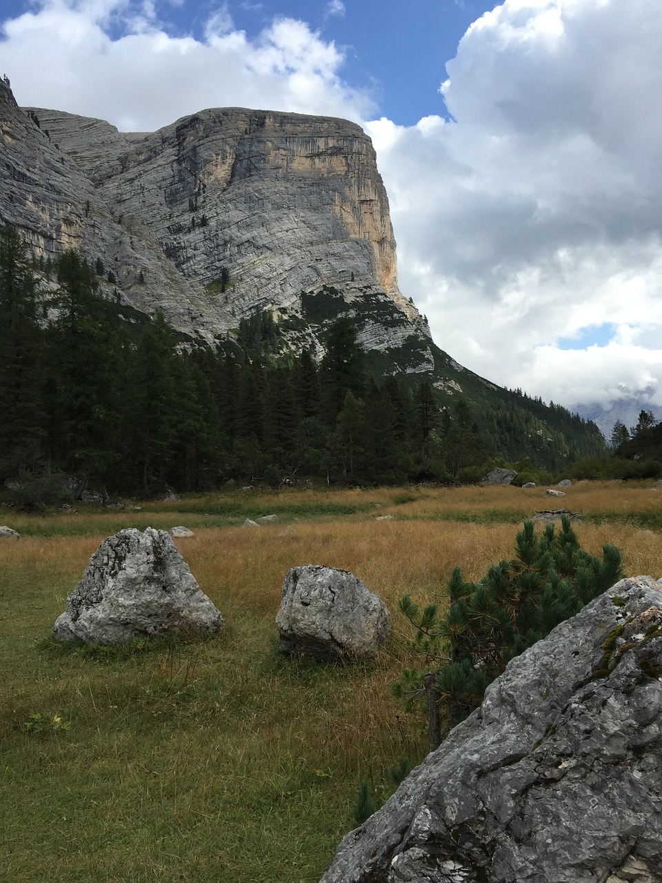 Dolomitai, Kalnai, Kraštovaizdis, Gamta, Miškas, Italy, Nemokamos Nuotraukos,  Nemokama Licenzija