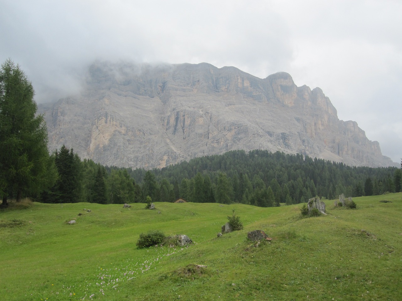 Dolomitai, Kalnai, Kraštovaizdis, Gamta, Miškas, Italy, Nemokamos Nuotraukos,  Nemokama Licenzija