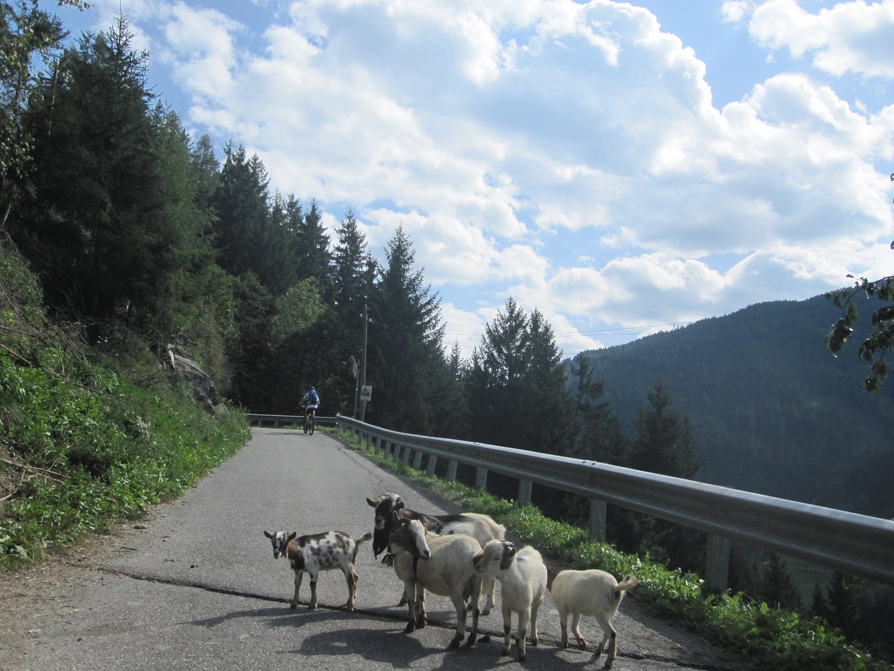 Dolomitai, Kalnai, Kraštovaizdis, Gamta, Miškas, Italy, Nemokamos Nuotraukos,  Nemokama Licenzija