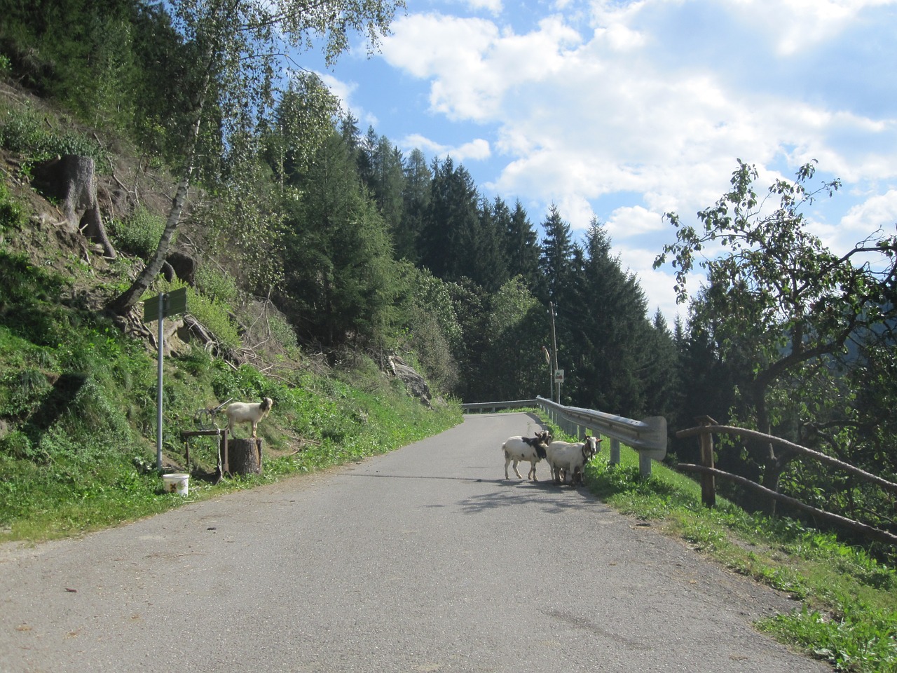 Dolomitai, Kalnai, Kraštovaizdis, Gamta, Miškas, Italy, Nemokamos Nuotraukos,  Nemokama Licenzija