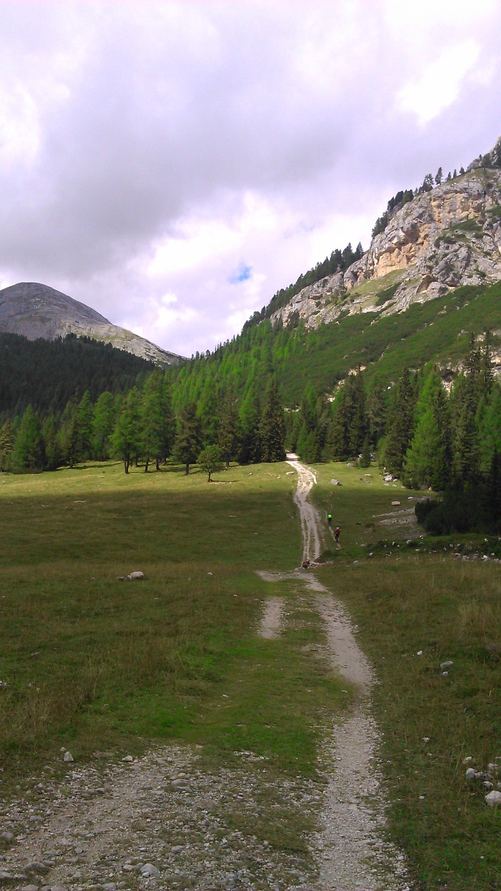 Dolomitai, Kalnai, Kraštovaizdis, Gamta, Miškas, Italy, Vaikščioti, Takas, Toli, Kelias