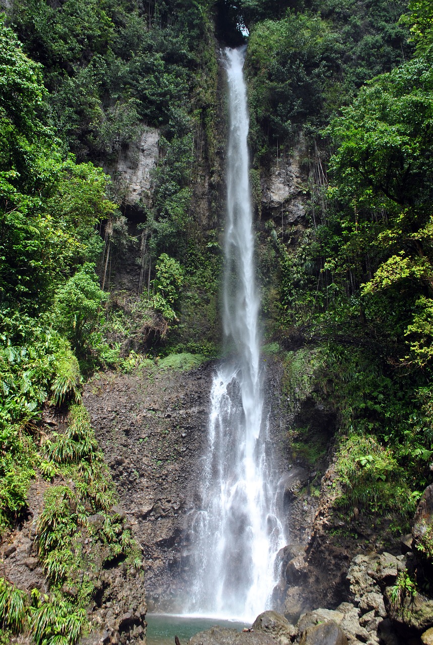 Dominica, Krioklys, Atogrąžų Miškai, Žygiai, Nacionalinis Parkas, Atogrąžų, Midham If, Nemokamos Nuotraukos,  Nemokama Licenzija