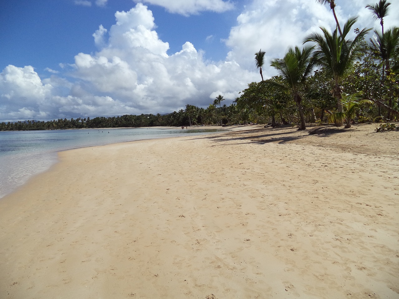 Dominikos Respublika, Smėlio Paplūdimys Papludimys, Nemokamos Nuotraukos,  Nemokama Licenzija