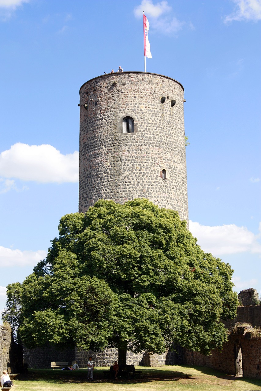 Donjon, Bokštas, Natūralus Akmuo, Pilis, Sugadinti, Monetos Burg, Medis, Viduramžiai, Akmeninė Siena, Istoriškai