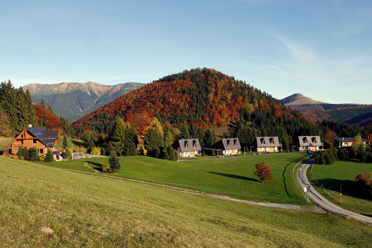 Donovaly, Slovakija, Ruduo, Kalnai, Mažos Tatros, Spalvos, Miškas, Magura Kalvos, Vyšninis, Name