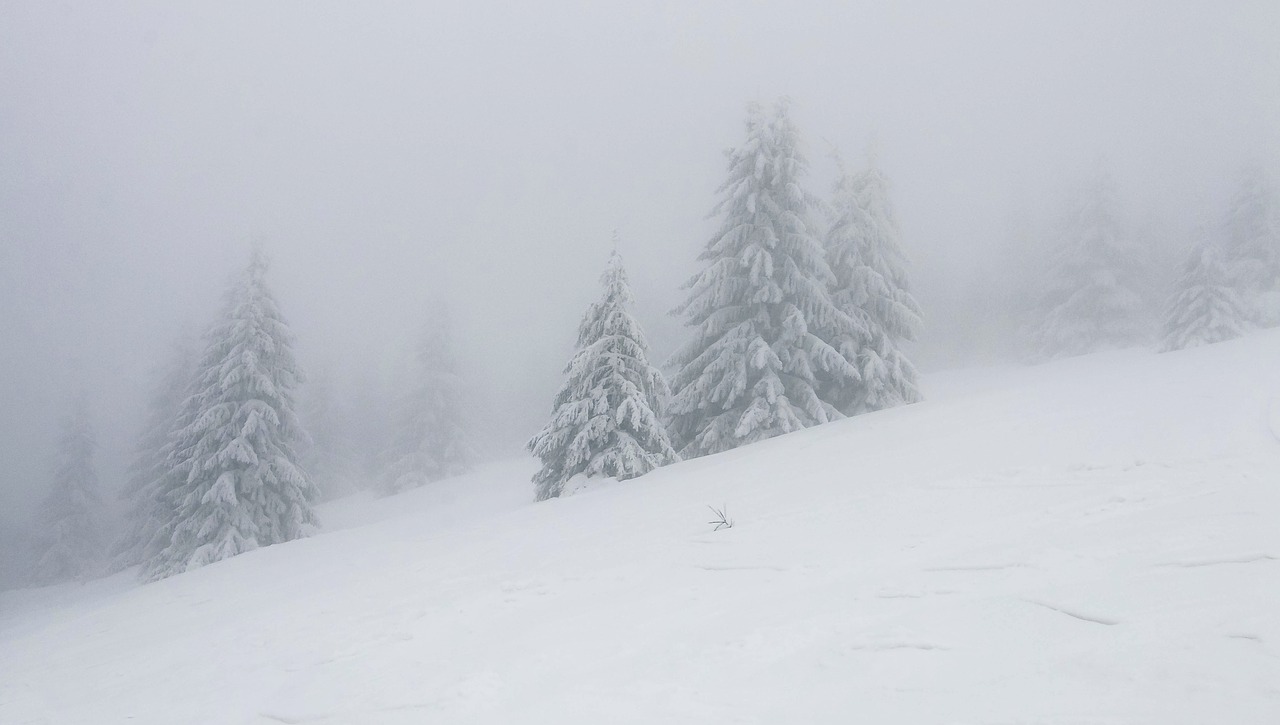 Donovaly,  Slovakija,  Snowboard,  Slides,  Šalis,  Rūkas,  Nuo Užšalimo,  Žiemos,  Baltos Spalvos,  Gamta