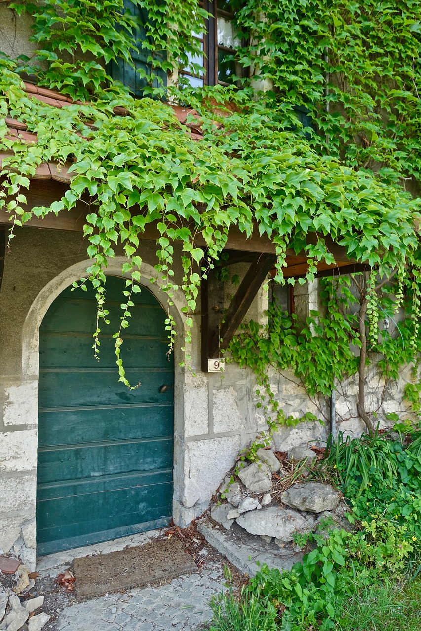 Durų,  Įėjimas,  Lapų,  Lauke,  Namas,  Sodas,  Floros,  Natūralus,  Pavasaris,  Botanikos