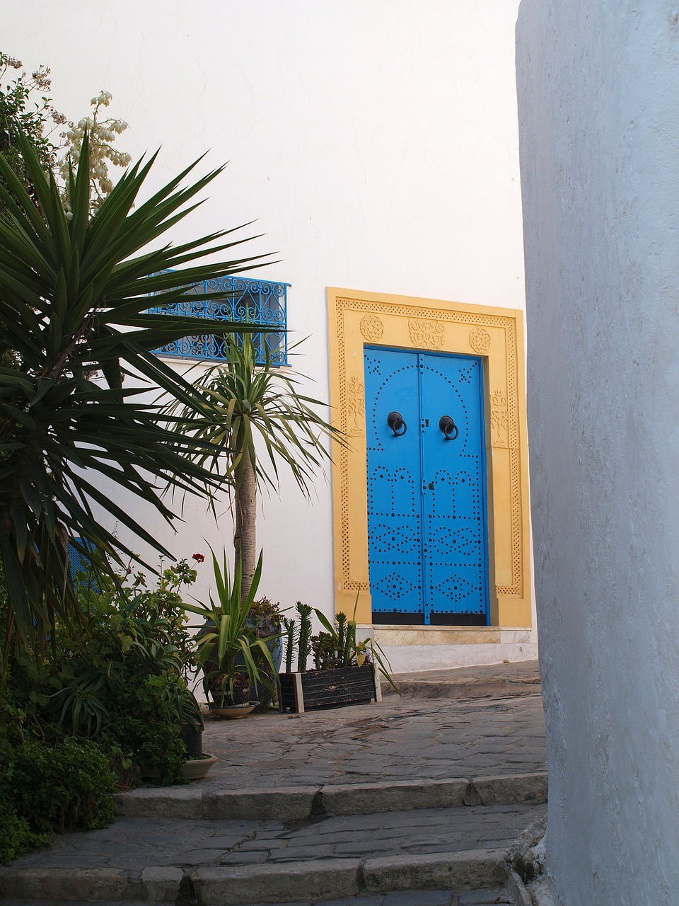 Durys, Tunisas, Senamiestis, Mėlynas, Baltos Sienos, Durų Rėmas, Geltona, Istoriškai, Istorinis Išsaugojimas, Carthage