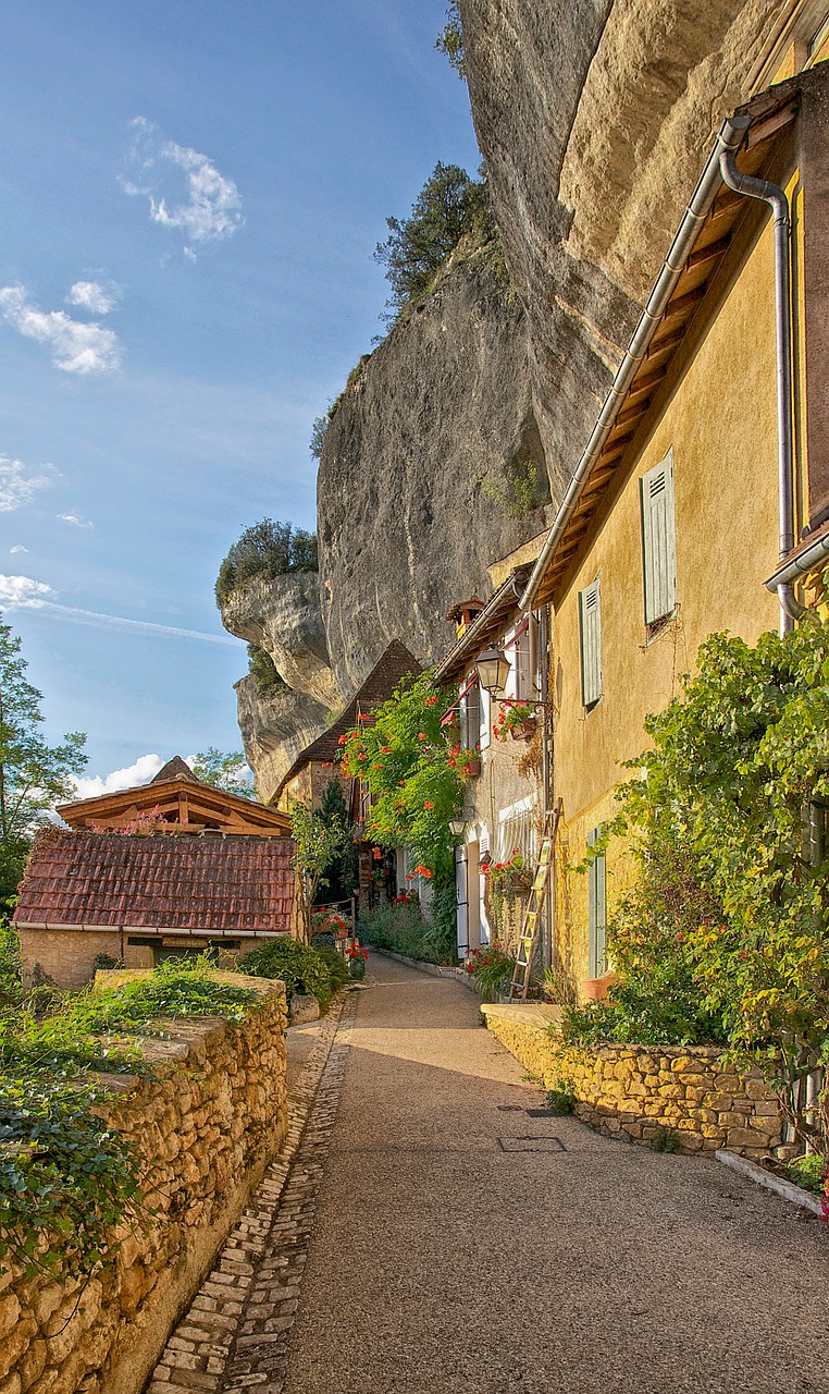 Dordogne, France, Pastatai, Namai, Gėlės, Kalnas, Uolos, Architektūra, Augalai, Vasara