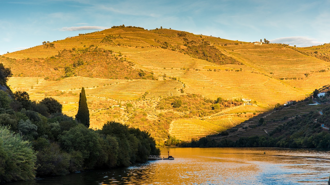 Douro, Upė, Portugal, Kelionė, Saulėlydis, Vanduo, Kraštovaizdis, Abendstimmung, Nemokamos Nuotraukos,  Nemokama Licenzija