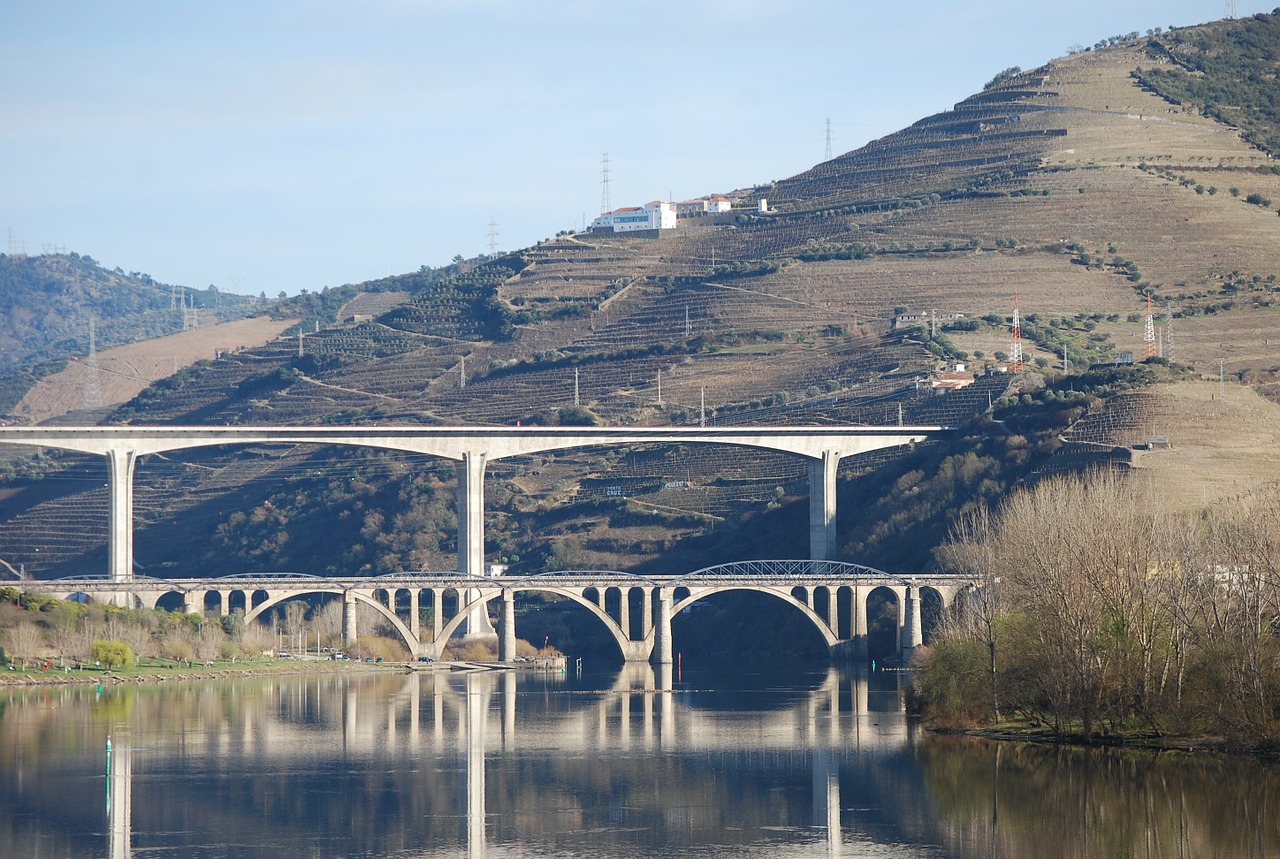 Douro Upė, Upė, Gamta, Régua, Tiltas, Architektūra, Architektūros Dizainas, Struktūra, Dizainas, Statyba