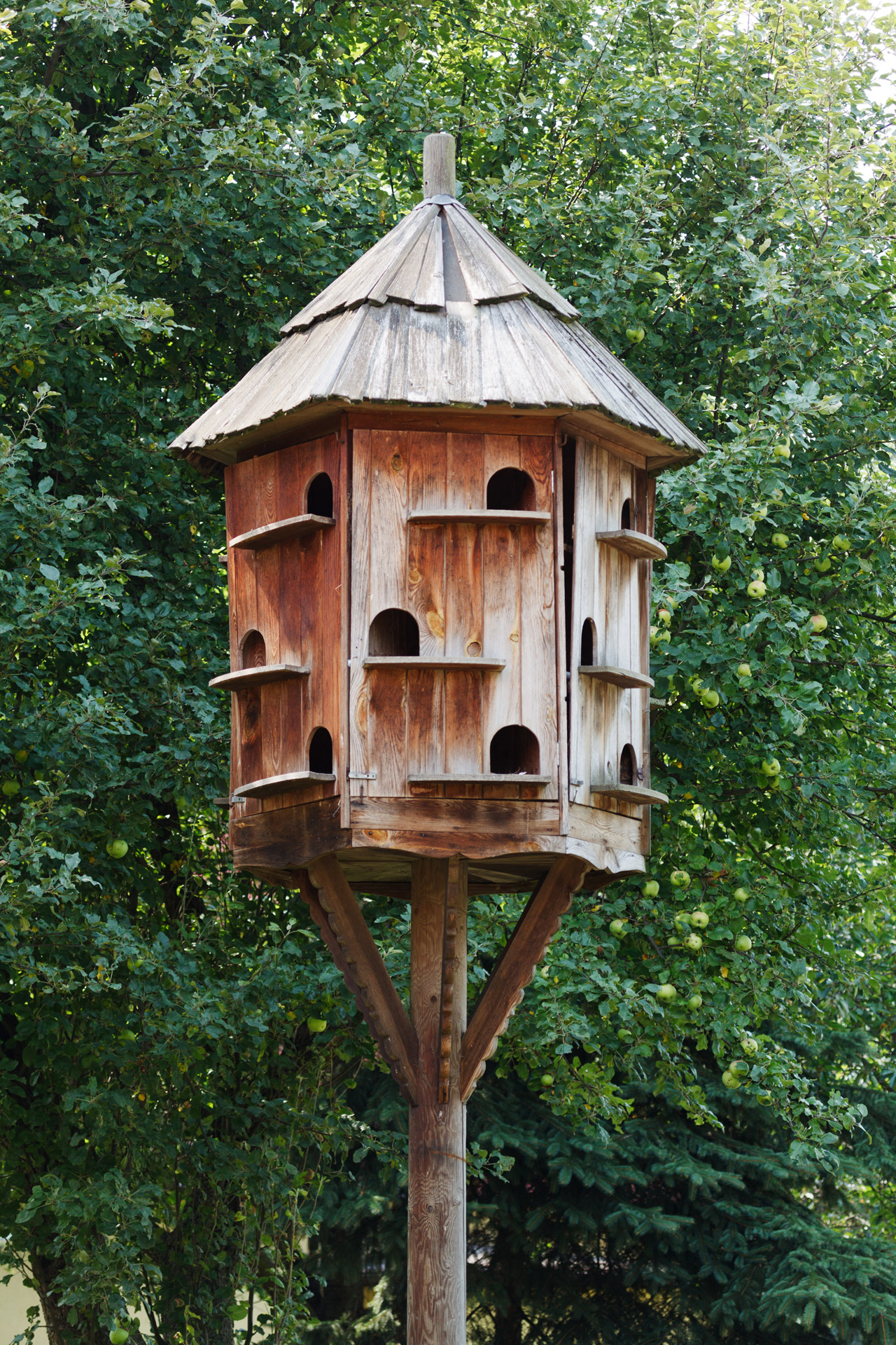 Birdhouse,  Dėžė,  Ruda,  Balandis,  Dovecot,  Dovecote,  Balandžiai,  Skylės,  Namai,  Namas