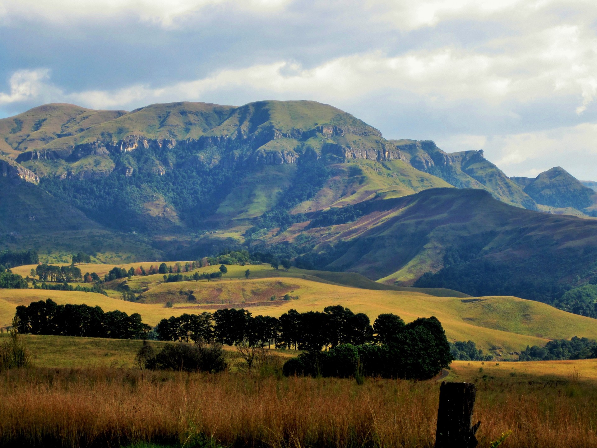 Drakensbergas,  Kalnai,  Didingas,  Veld,  Vaizdas,  Drakonas,  Vaizdas Į Kalnus, Nemokamos Nuotraukos,  Nemokama Licenzija