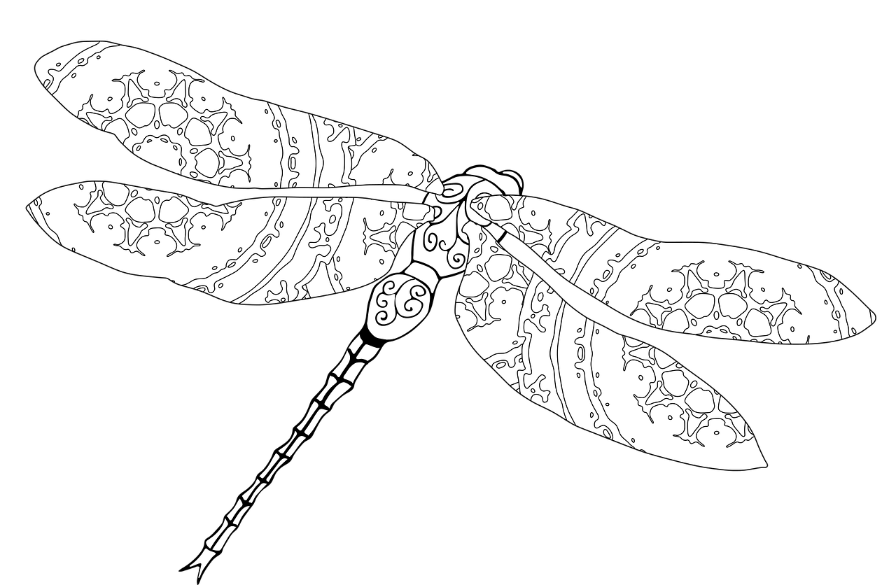 Dragonfly,  Dažymas,  Pobūdį,  Vabzdžiai,  Plaukioja Vabzdžių,  Vabzdys,  Sparnai,  Nariuotakojai,  Zentangle,  Tapyti