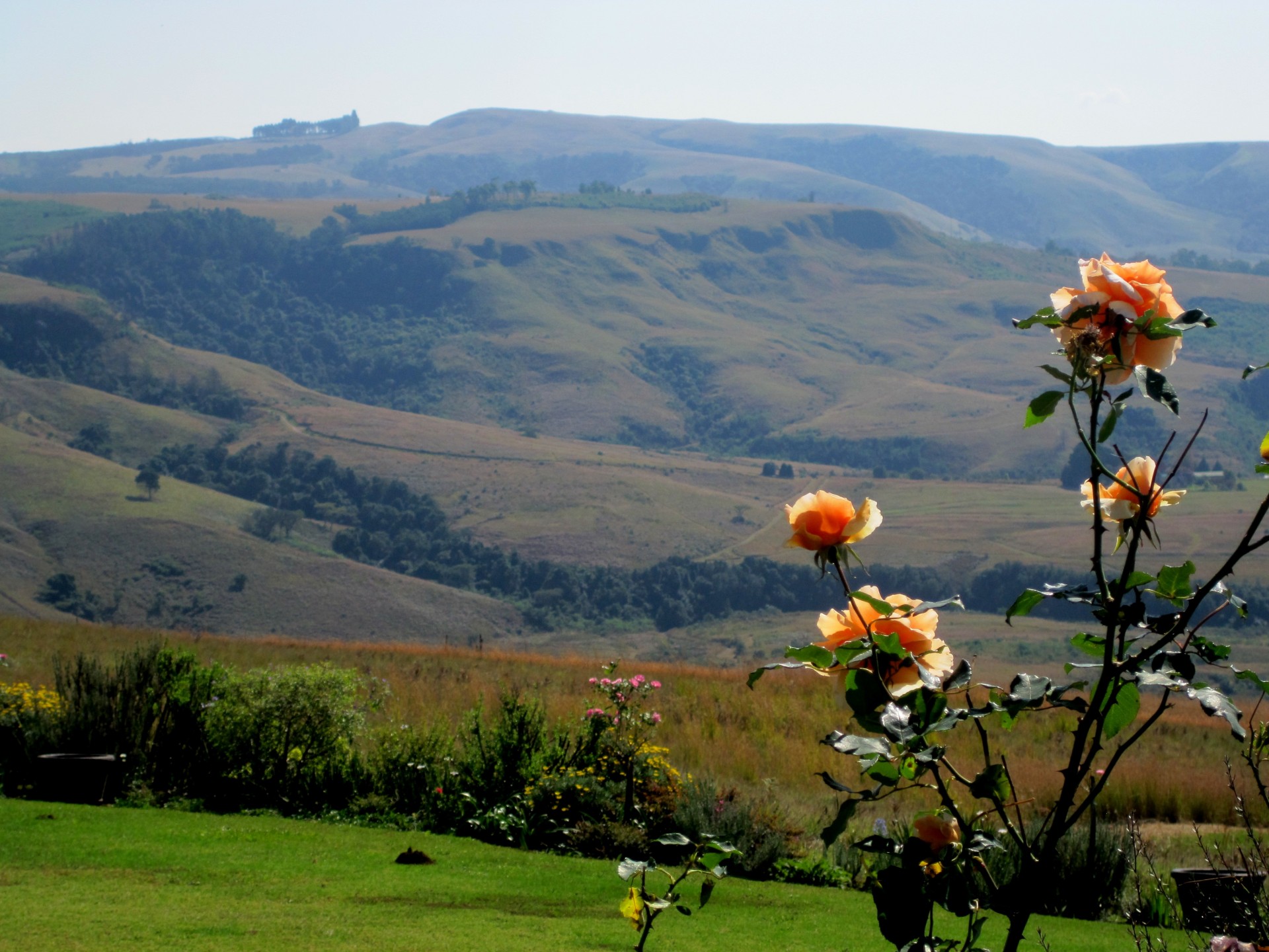 Drakensbergas,  Kalnai,  Didingas,  Veld,  Vaizdas,  Drakensberg Vista, Nemokamos Nuotraukos,  Nemokama Licenzija