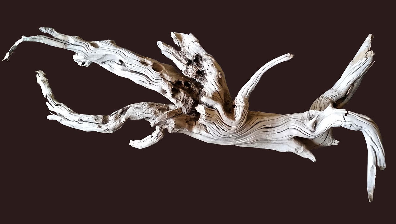 Driftwood, Figūra, Tekstūra, Nemokamos Nuotraukos,  Nemokama Licenzija