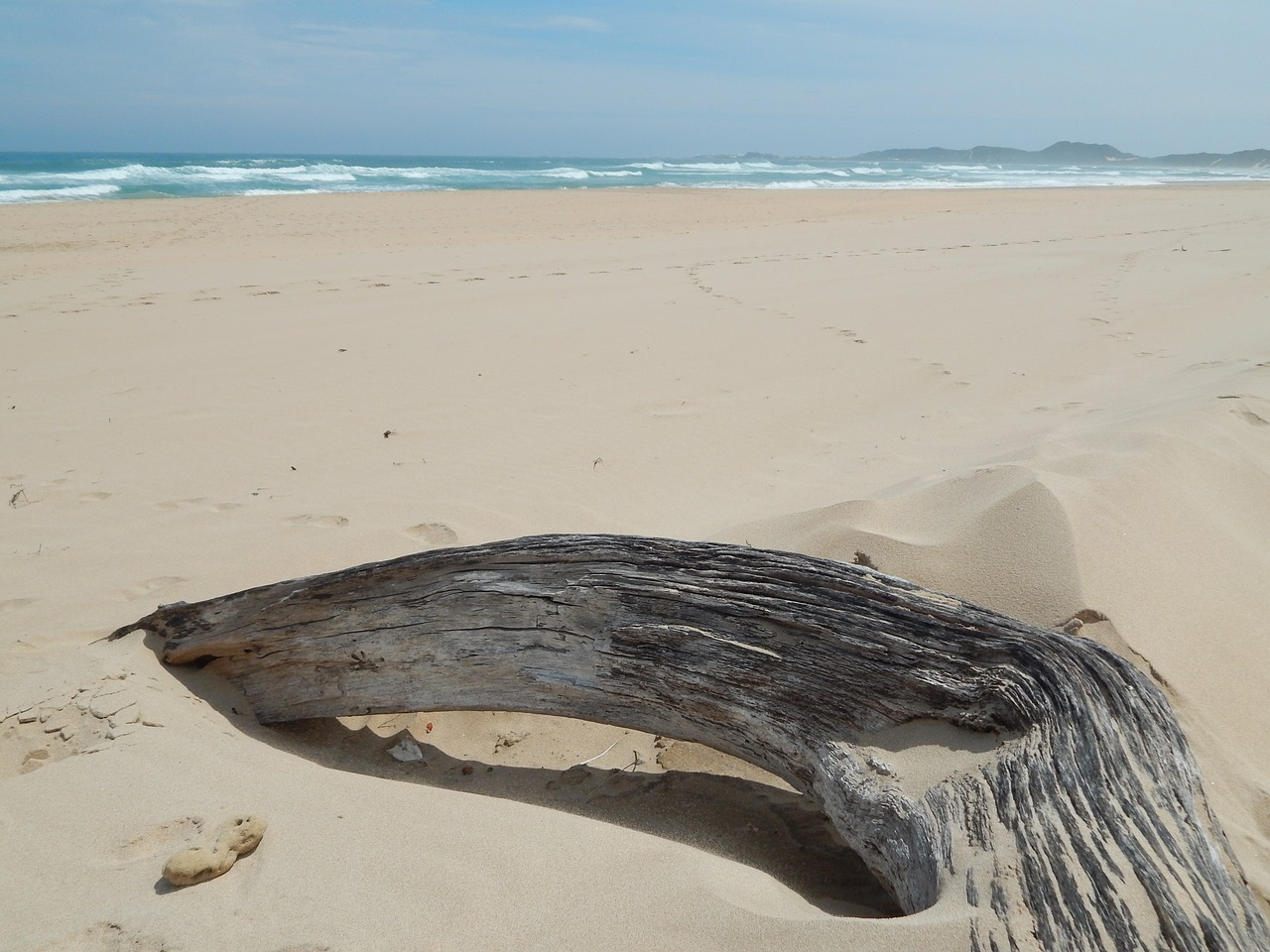 Driftwood, Papludimys, Apleistas, Kraštovaizdis, Smėlis, Medis, Jūros Dugnas, Mediena, Nemokamos Nuotraukos,  Nemokama Licenzija