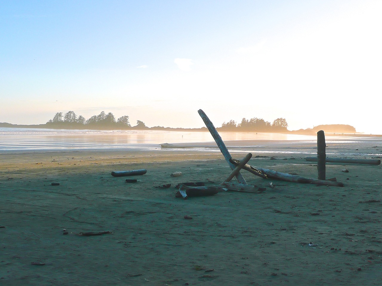 Driftwood, Papludimys, Vandenynas, Jūra, Vanduo, Vasara, Atostogos, Kelionė, Gamta, Dangus