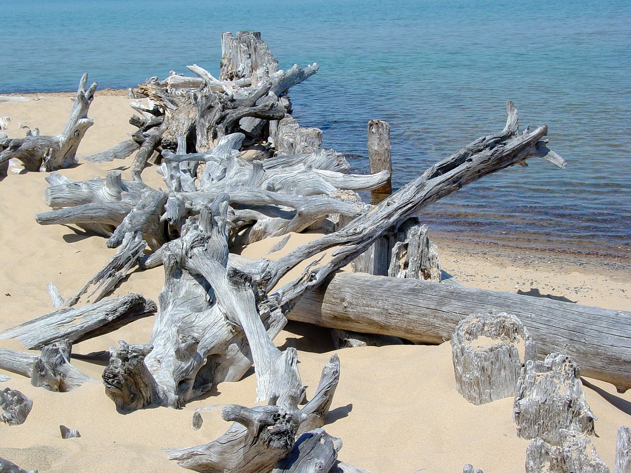 Driftwood, Ežero Viršininkas, Papludimys, Smėlis, Krantas, Kraštovaizdis, Kranto Linija, Gamta, Vanduo, Ežeras