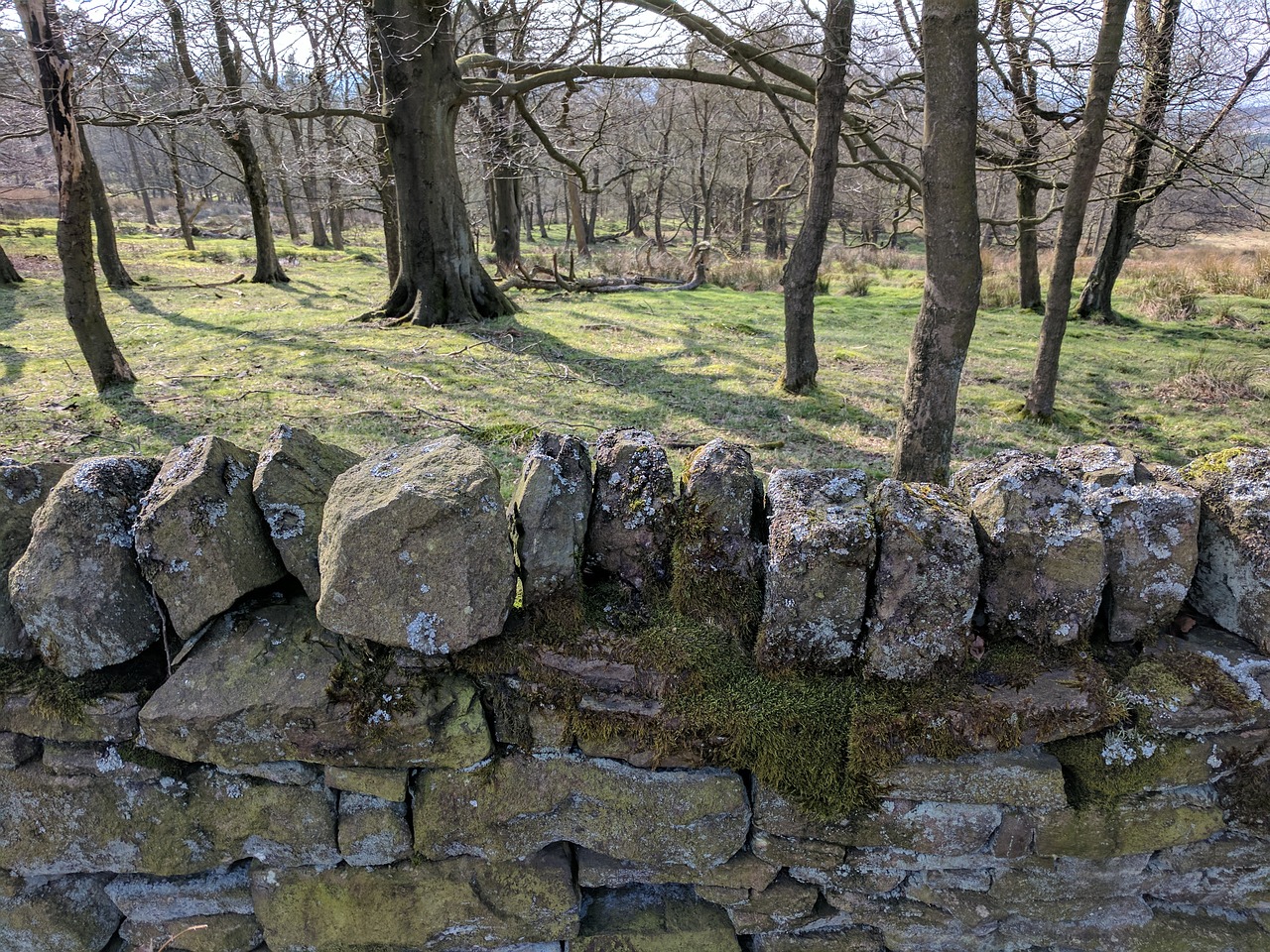 Drystone Wall, Sienos, Akmenys, Lauke, Uk, Derbyshire, Ilgapio Dvaras, Miškai, Kaimas, Pasivaikščiojimai