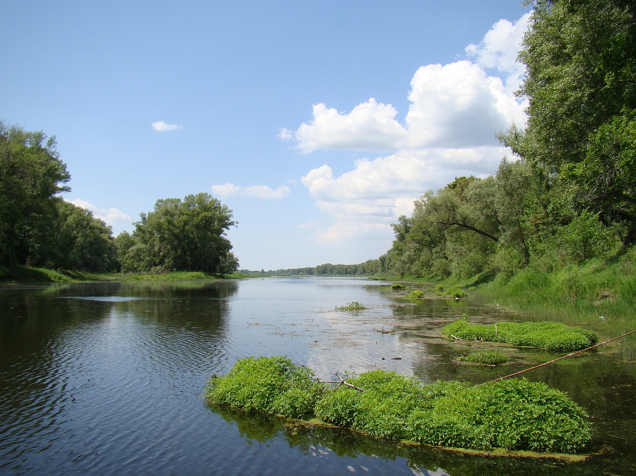 Kanalas, Vanduo, Upė, Medžiai, Žalumos, Islet, Saulė, Šviesus, Dangus, Mėlynas