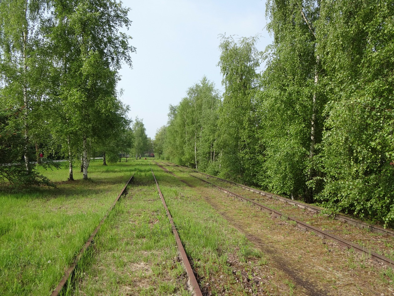 Duisburgas, Kraštovaizdis, Parkas, Gamykla, Ruhr Area, Šiaurės Reinas, Vestfalija, Vokietija, Atrodė, Užaugo