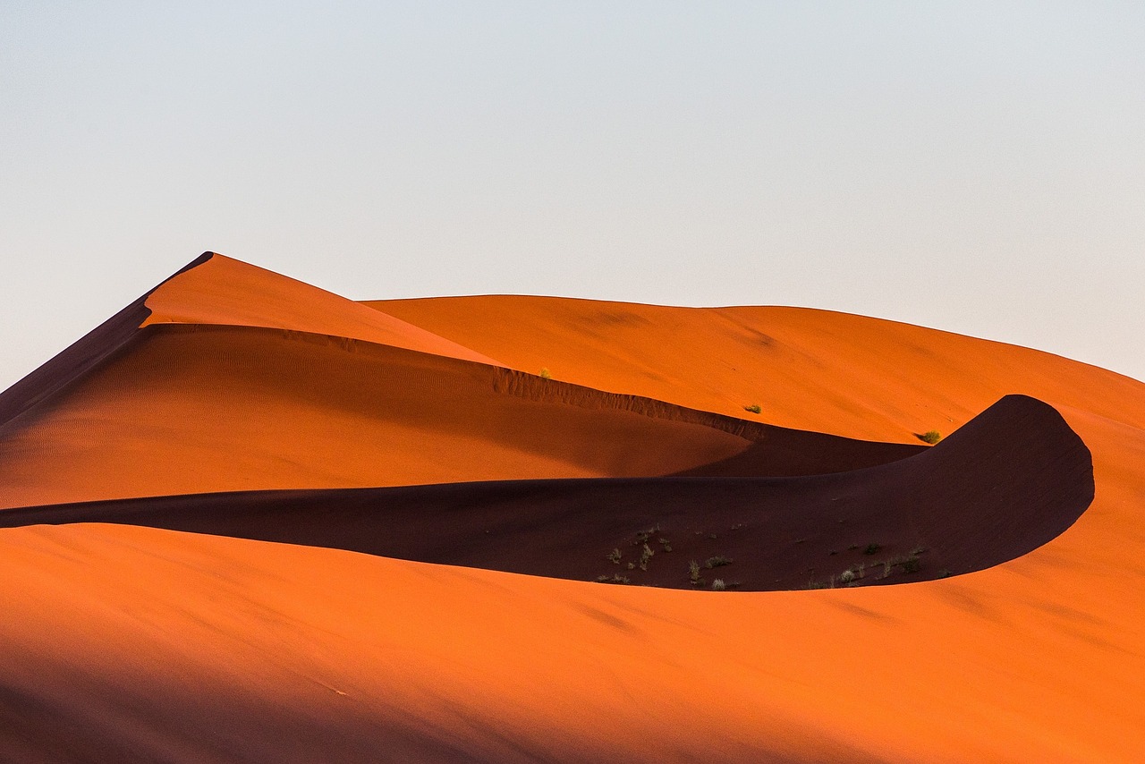 Kopos, Dykuma, Namibija, Afrika, Nemokamos Nuotraukos,  Nemokama Licenzija