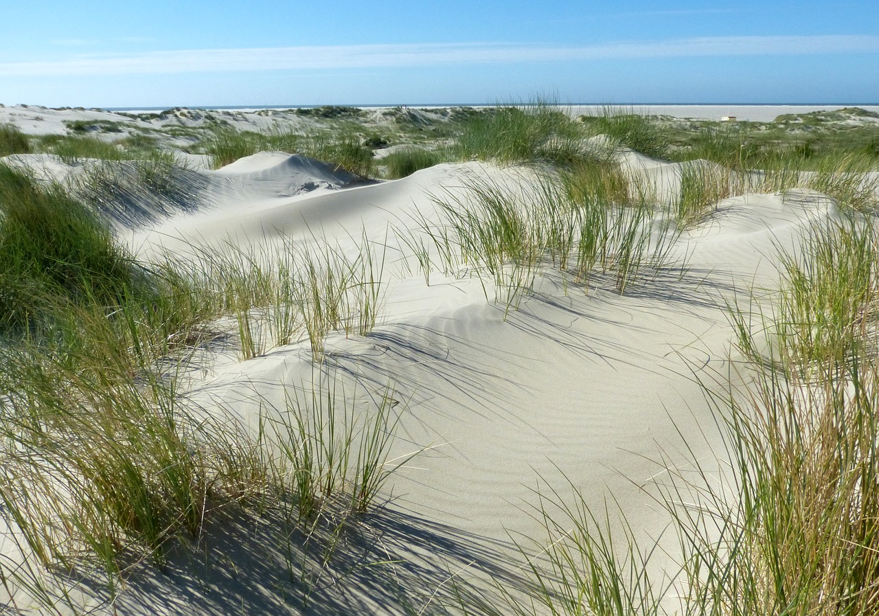 Kopos, Papludimys, Šiaurės Jūra, Borkum, Neprieinama Gamta, Nemokamos Nuotraukos,  Nemokama Licenzija