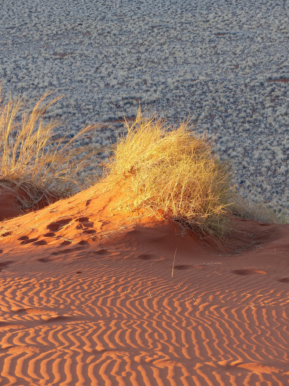 Kopos, Namibija, Smėlis, Dykuma, Žolės, Afrika, Gamta, Nemokamos Nuotraukos,  Nemokama Licenzija