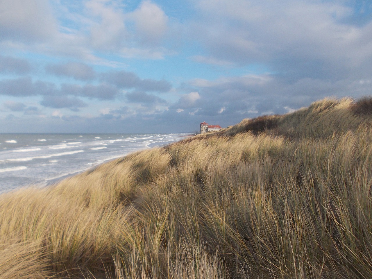 Kopos, Foredune, Oyats, Papludimys, Lizdinės Kopos, Dunų Prekybininkas, Vėjas, Nemokamos Nuotraukos,  Nemokama Licenzija