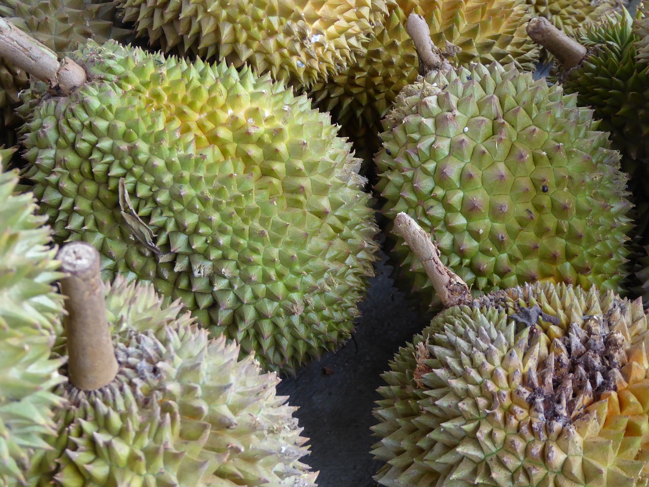 Durian, Java, Indonezija, Vaisiai, Maistas, Asija, Nemokamos Nuotraukos,  Nemokama Licenzija