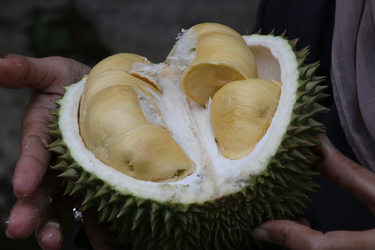 Durian, Karalius Vaisių, Egzotiniai Vaisiai, Nemokamos Nuotraukos,  Nemokama Licenzija