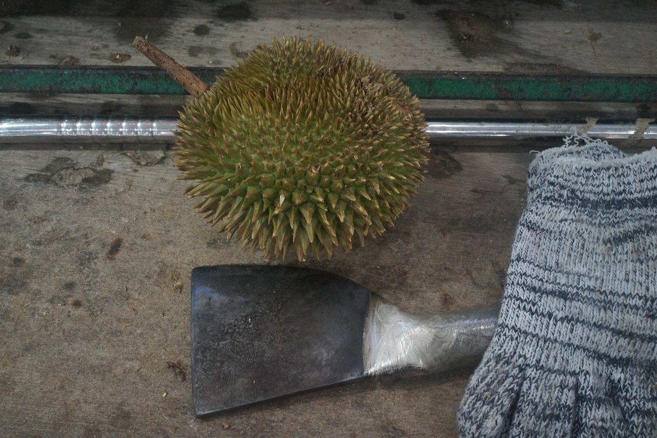 Durian Chopper, Durian Vaisiai, Vaisių Karalius, Atogrąžų, Skanus, Kietas Vaisius, Malaizija, Nemokamos Nuotraukos,  Nemokama Licenzija