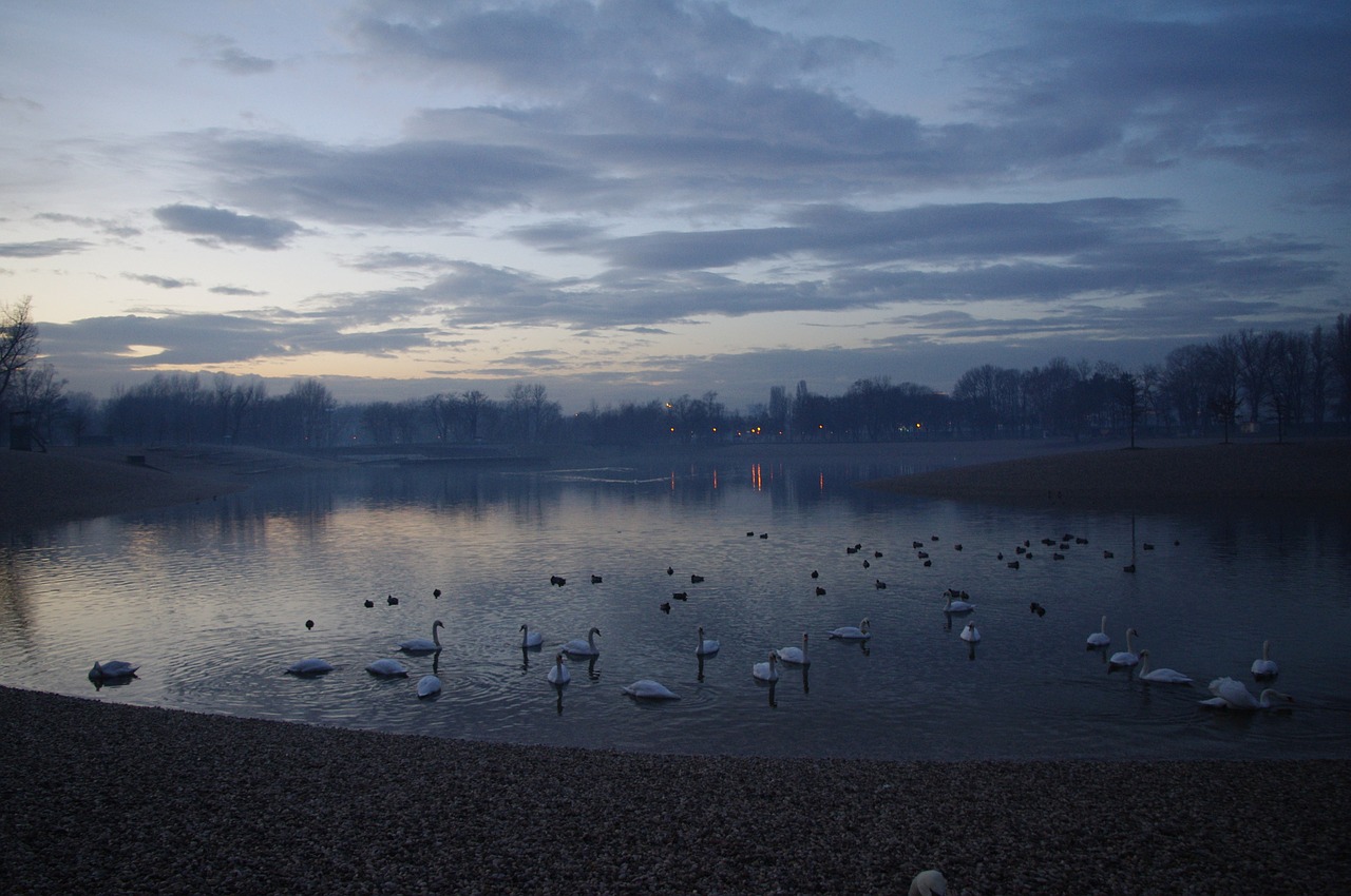 Dusk, Vakaras, Tamsi, Tamsa, Aušra, Vanduo, Ežeras, Tvenkinys, Dangus, Naktis