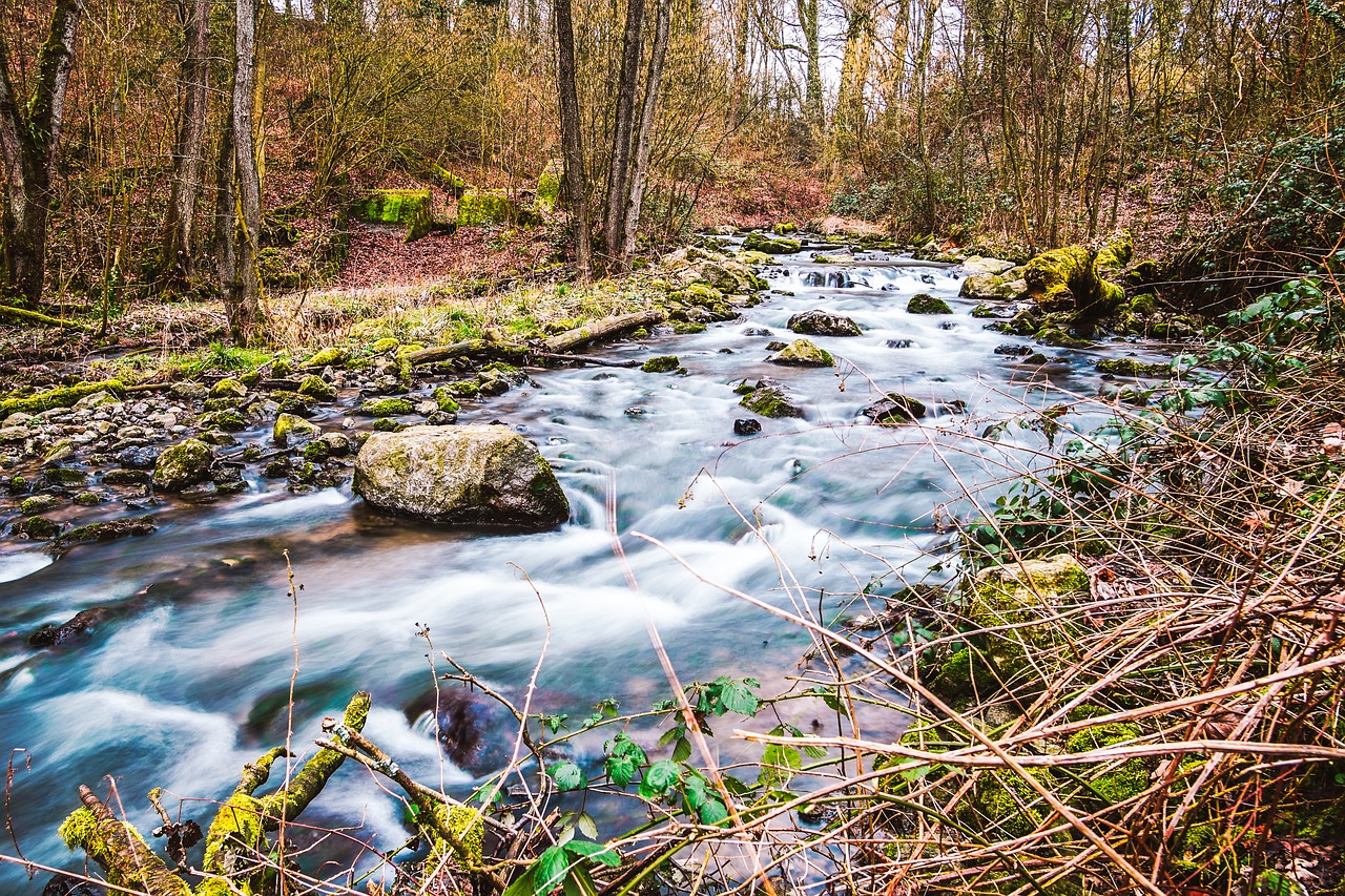 , Nemokamos Nuotraukos,  Nemokama Licenzija