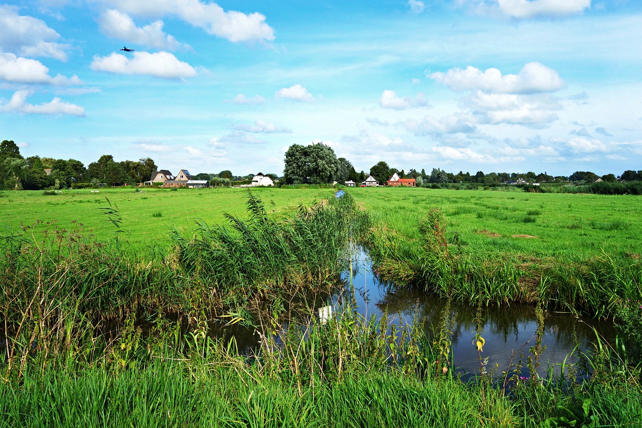 Olandų Kraštovaizdis, Kraštovaizdis, Polderis, Pieva, Griovys, Vanduo, Kaimas, Kaimas, Horizontas, Žolė