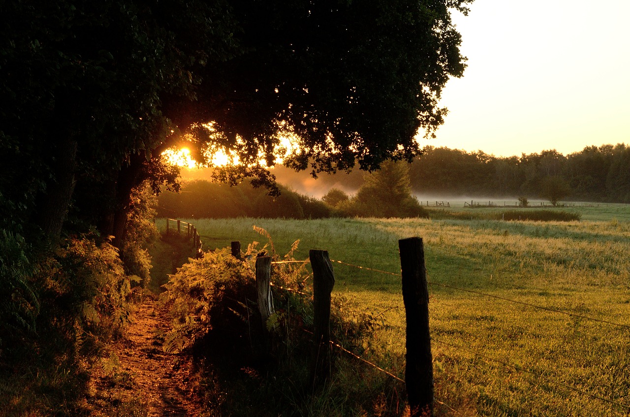 Duvenstedter Stream, Saulėtekis, Morgenstimmung, Nemokamos Nuotraukos,  Nemokama Licenzija