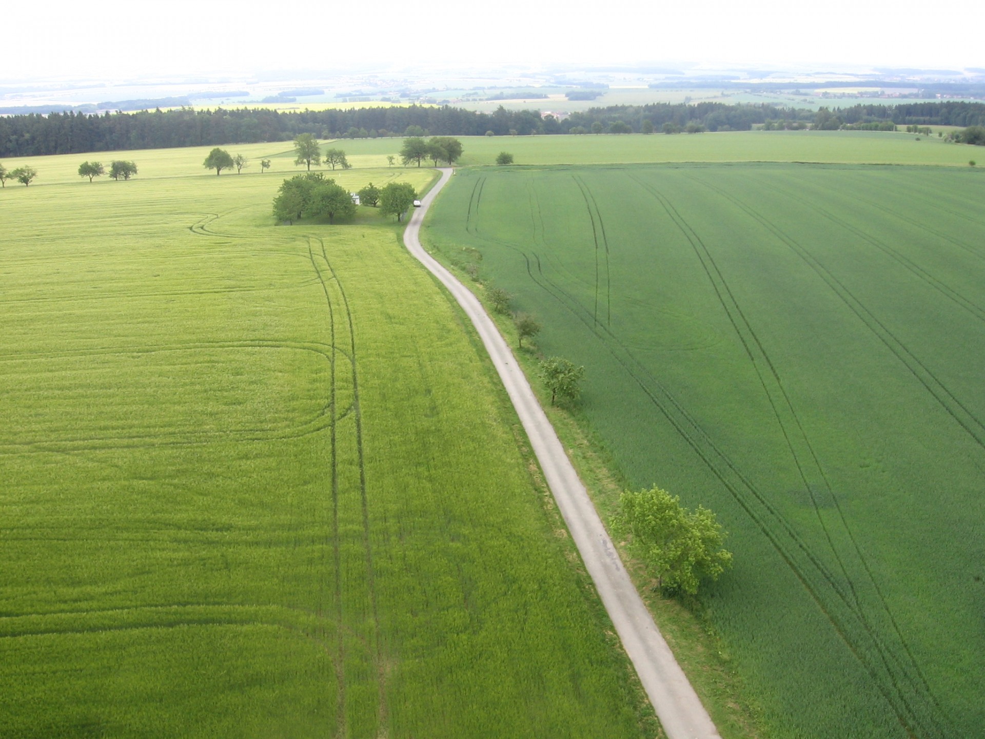 Laukas,  Kelias,  Du Spalvų Laukai, Nemokamos Nuotraukos,  Nemokama Licenzija