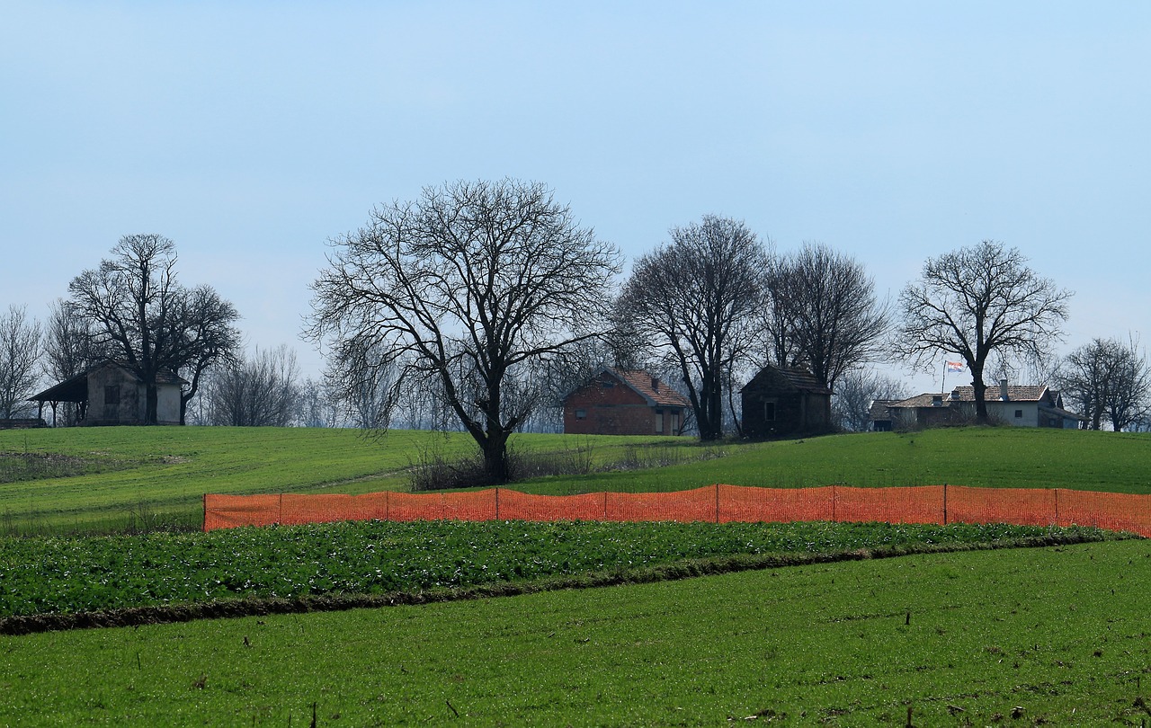 Ankstyvas Pavasaris,  Panoraminis,  Laukas,  Žolė,  Medis,  Gamta,  Be Honoraro Mokesčio, Nemokamos Nuotraukos,  Nemokama Licenzija