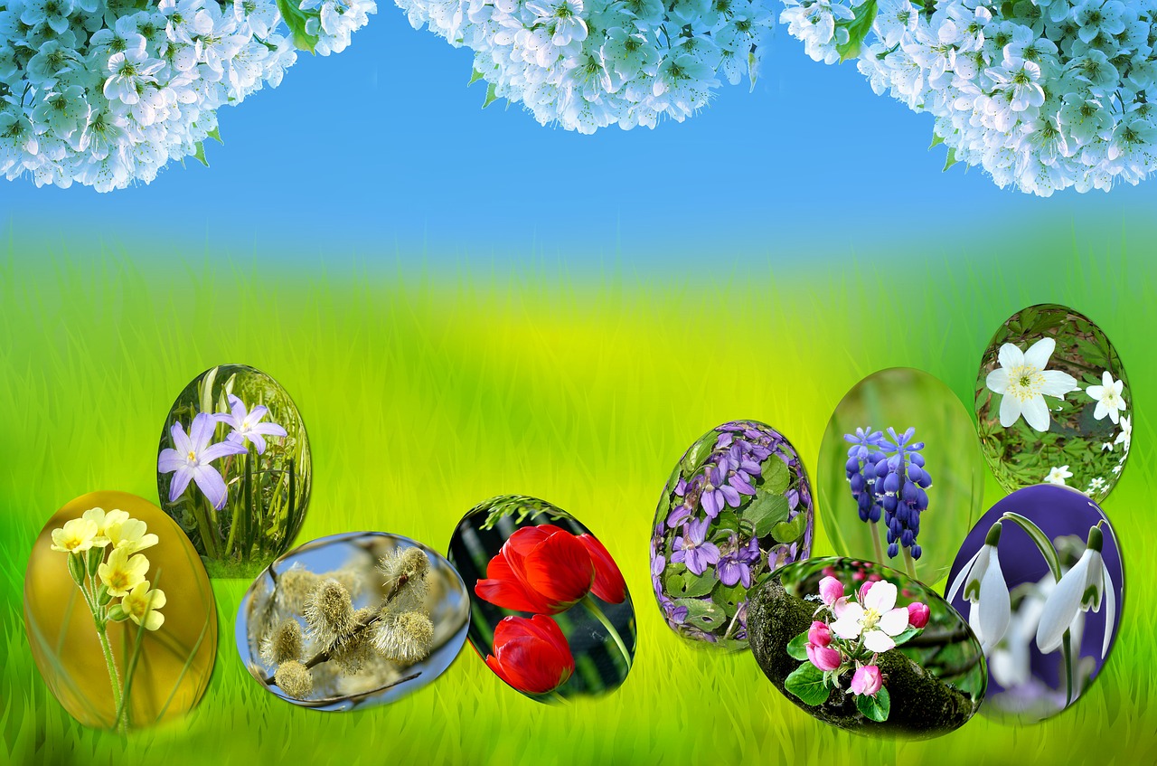 Velykos, Kiaušiniai, Pavasaris, Saulė, Žolė, Žalias, Gamta, Mėlynas, Šviesa, Primozė