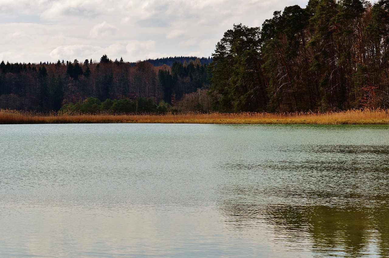 Velykų Ežeras, Iffeldorf, Kraštovaizdis, Vandenys, Gamta, Ežeras, Vanduo, Veidrodis, Nendrė, Nemokamos Nuotraukos