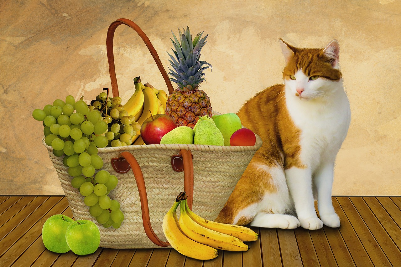 Valgyti,  Maisto,  Vaisių,  Vaisių Krepšys,  Pirkimo,  Sveiki,  Gyvūnas,  Katė,  Vitaminai,  Bananų