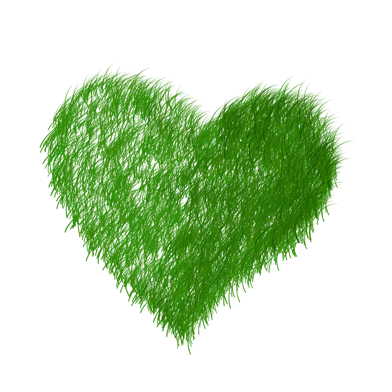 Echo, Ekologija, Žalias, Žolė, Prato, Gamta, Taupymas, Širdis, Meilė, Valentino Diena