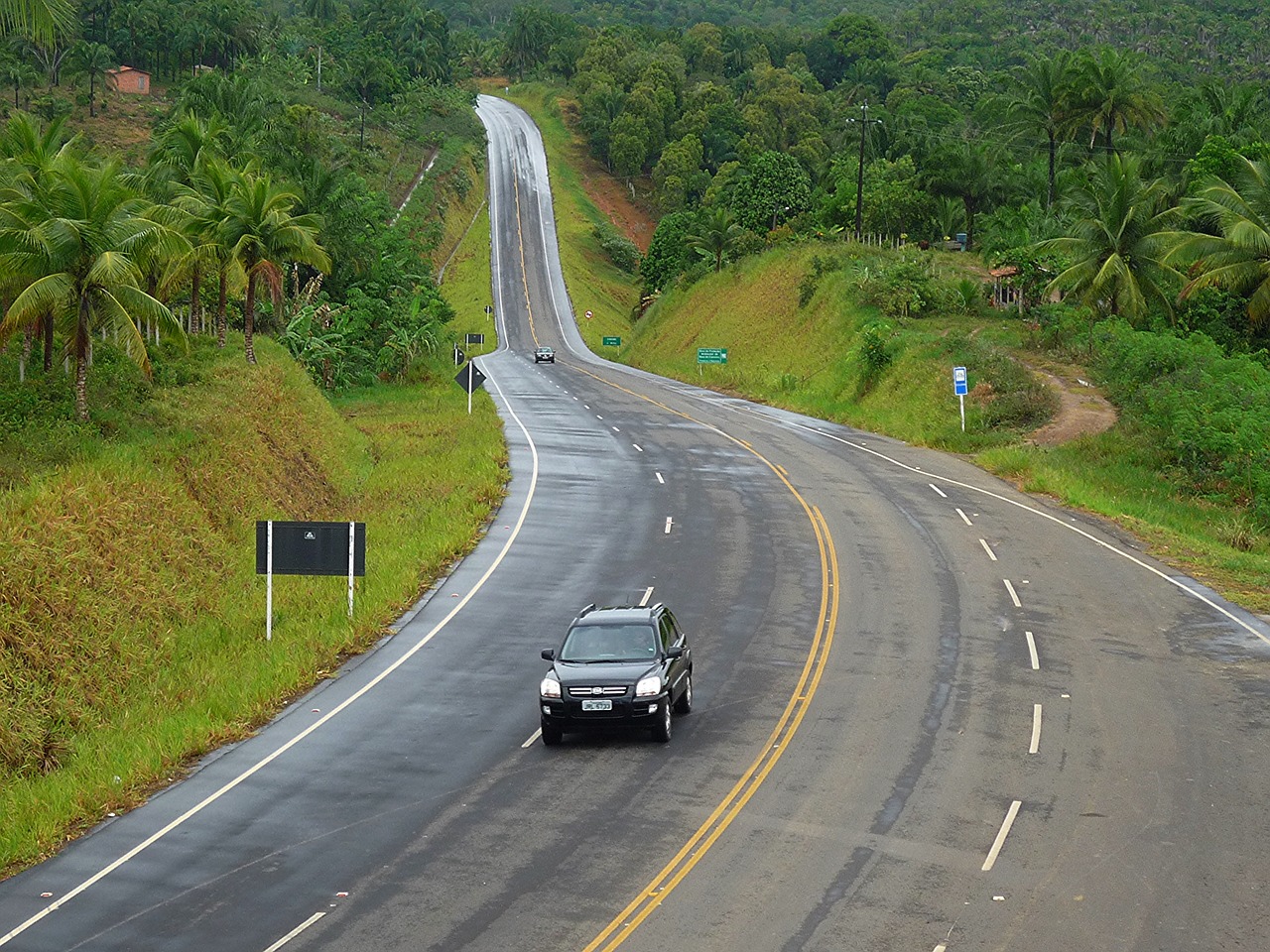 Ekologinis Kelias, Bahia, Atlanto Miškas, Nemokamos Nuotraukos,  Nemokama Licenzija